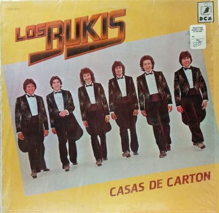 The Meaning Behind The Song: Casas de Cartón by Los Bukis