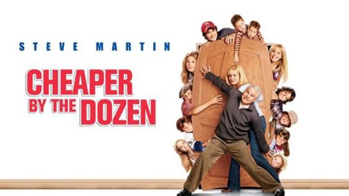 The Meaning Behind The Song: Cheaper By The Dozen by Sandgemtownn