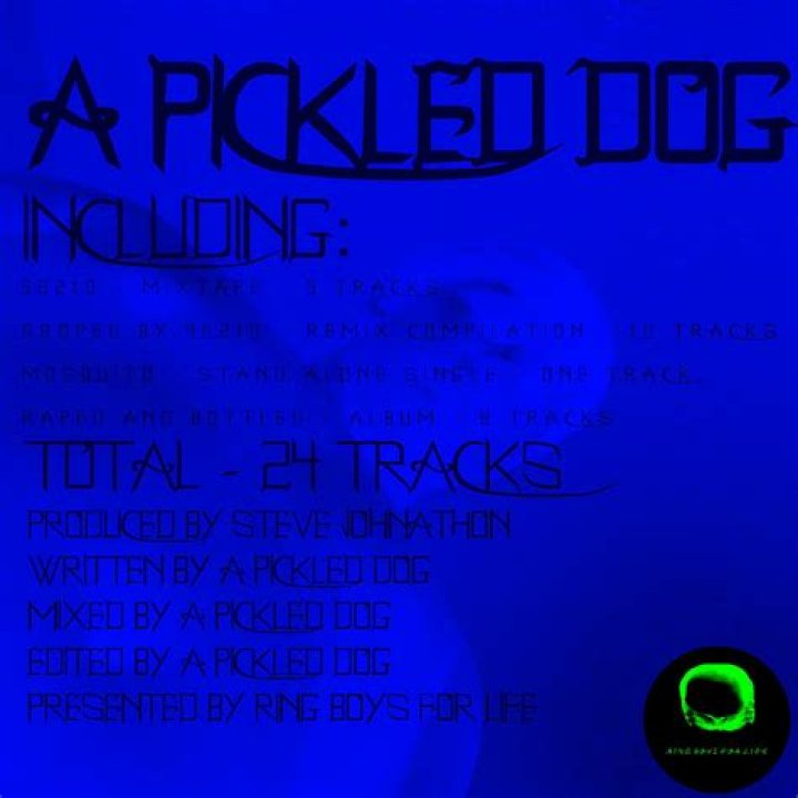 The Meaning Behind The Song: Cheeko’s House by A Pickled Dog