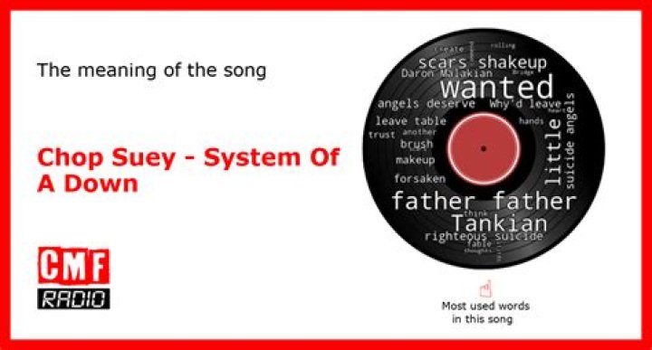 The Meaning Behind The Song: Chop Suey by System Of A Down