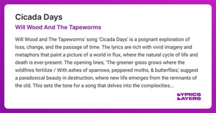The Meaning Behind The Song: Cicada Days by Will Wood