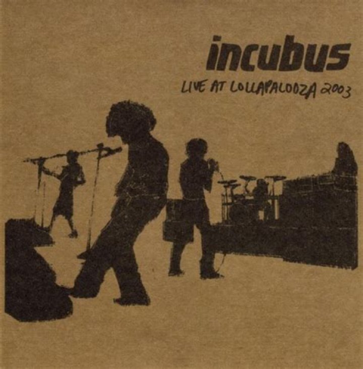 The Meaning Behind The Song: Circles (Live at Lollapalooza) by Incubus