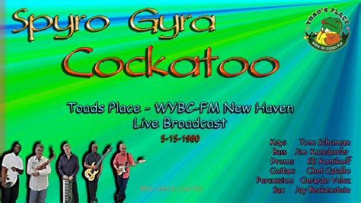 The Meaning Behind The Song: Cockatoo by Spyro Gyra