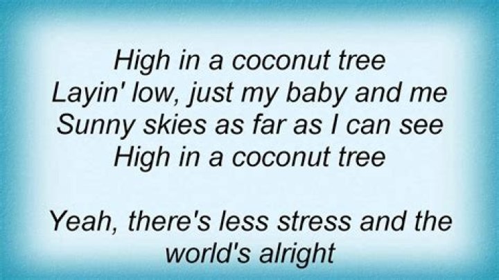 The Meaning Behind The Song: Coconut Tree by Kenny Chesney