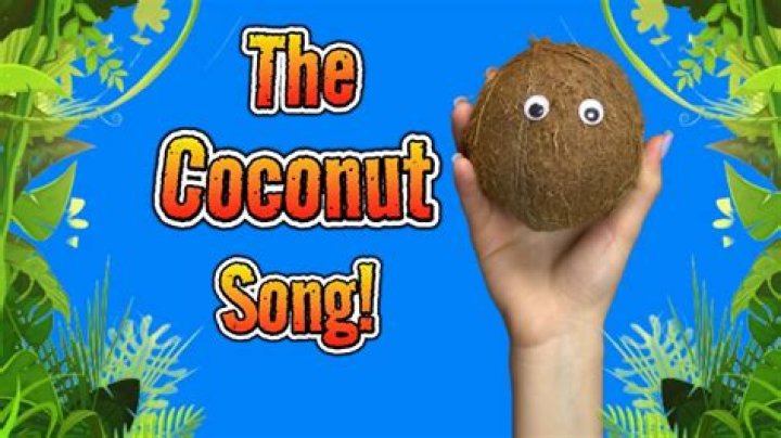The Meaning Behind The Song: Coconuts by Widespread Panic