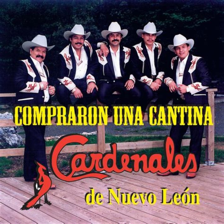 The Meaning Behind The Song: Compre Una Cantina by Los Cardenales de Nuevo Leon