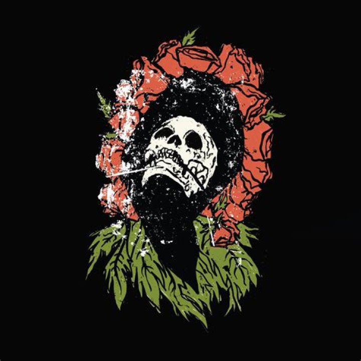 The Meaning Behind The Song: Congratulations by Blue October