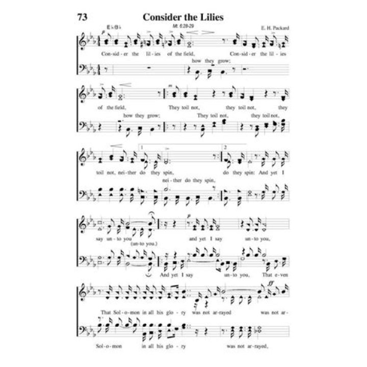 The Meaning Behind The Song: Consider the Lilies by Scott Wesley Brown