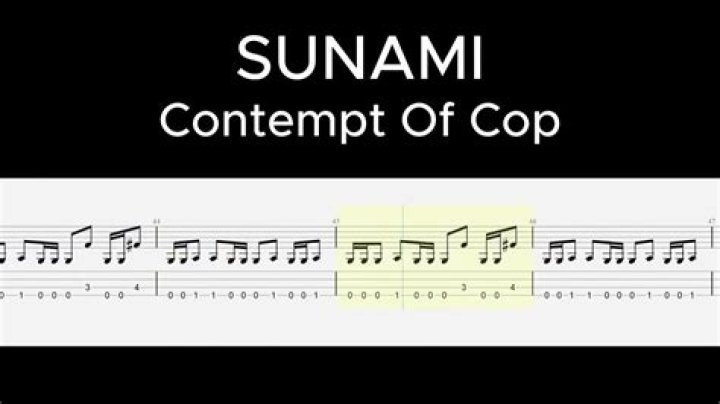 The Meaning Behind The Song: Contempt of Cop by Sunami