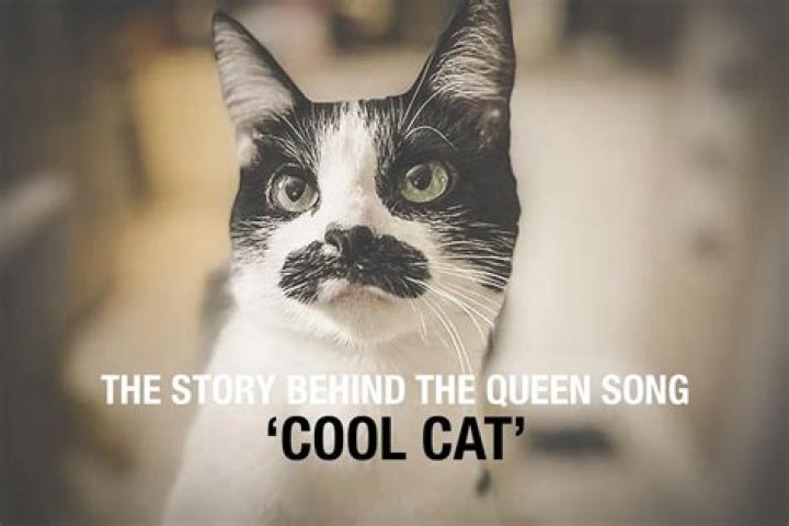 The Meaning Behind The Song: Cool Cat by Queen