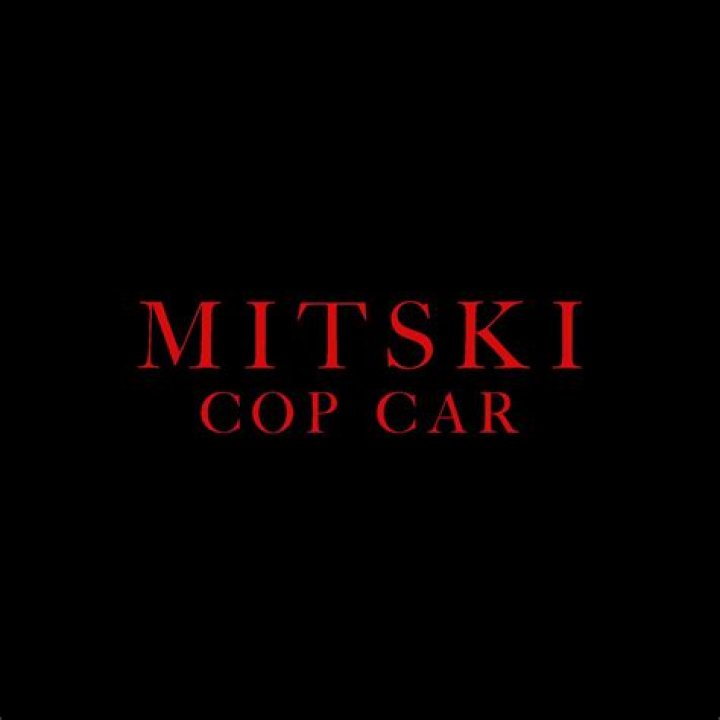 The Meaning Behind The Song: Cop Car by Mitski