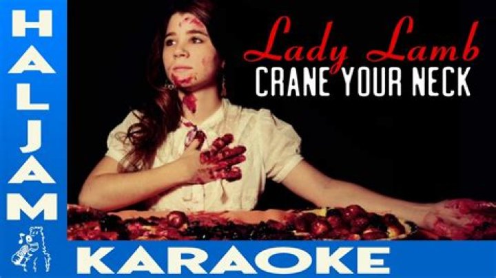 The Meaning Behind The Song: Crane Your Neck by Lady Lamb