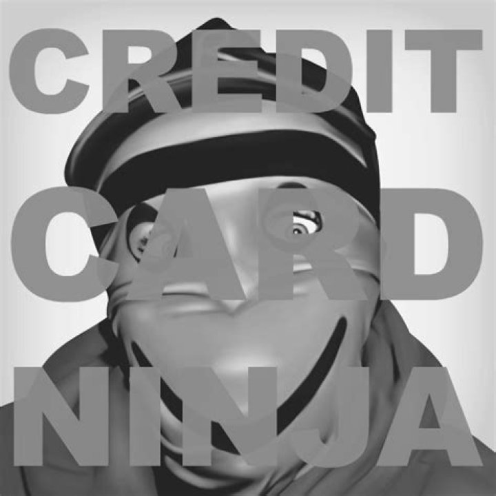 The Meaning Behind The Song: Credit Card Ninja by Tinfoilbot