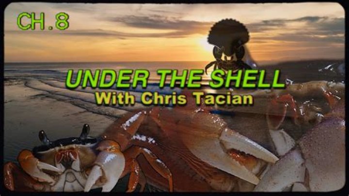 The Meaning Behind The Song: Dance of the Crab by Barry Can’t Swim