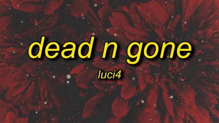 The Meaning Behind The Song: Dead n Gone by Luci4
