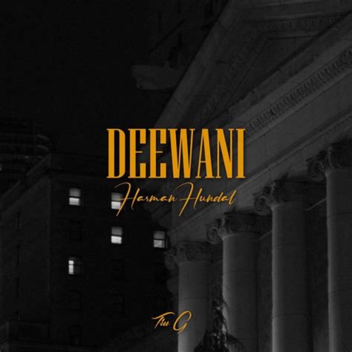 The Meaning Behind The Song: Deewani by Harman Hundal