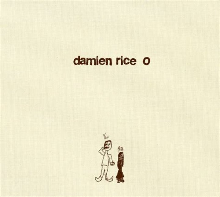 The Meaning Behind The Song: Delicate by Damien Rice