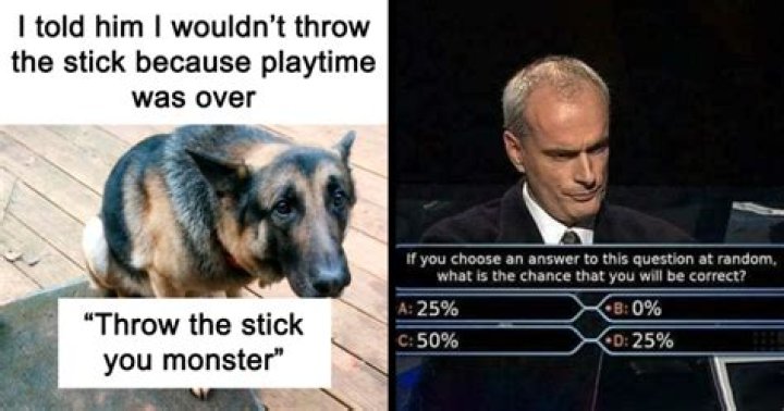 The Meaning Behind The Song: Delusions of Adequacy by Tit Patrol