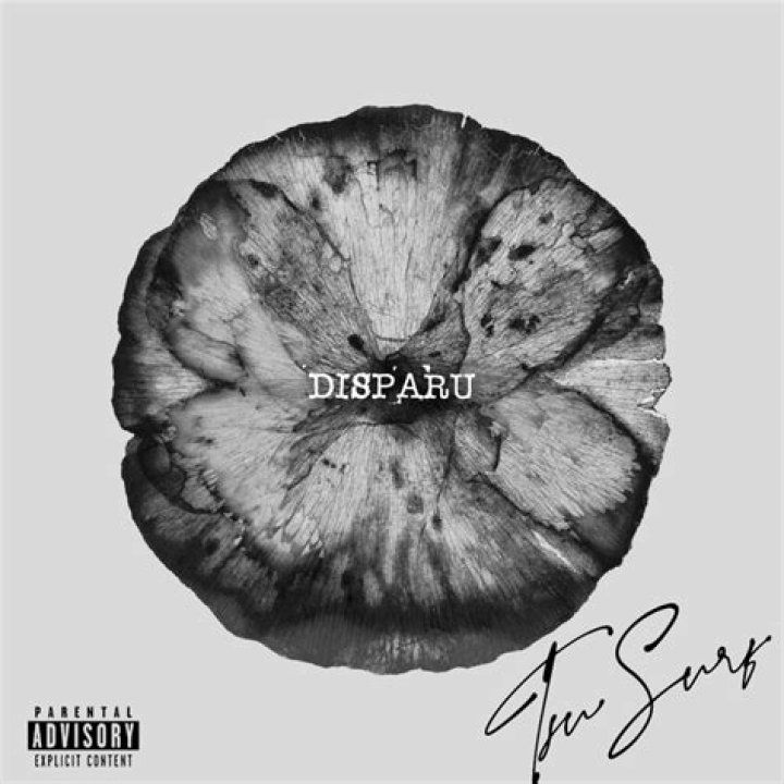 The Meaning Behind The Song: Disparu by Tsu Surf