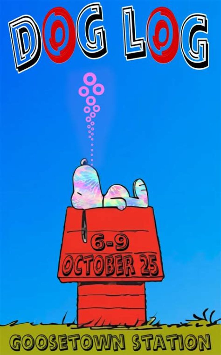 The Meaning Behind The Song: Dog Log by Phish