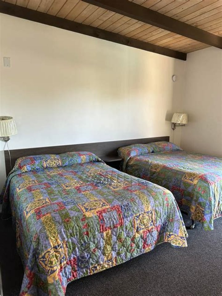 The Meaning Behind The Song: Don’s Turf Motel by John Wilkes Kissing Booth