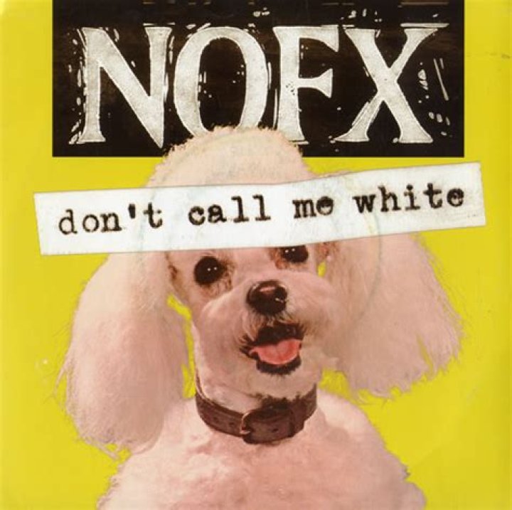The Meaning Behind The Song: Don’t Call Me White by NOFX