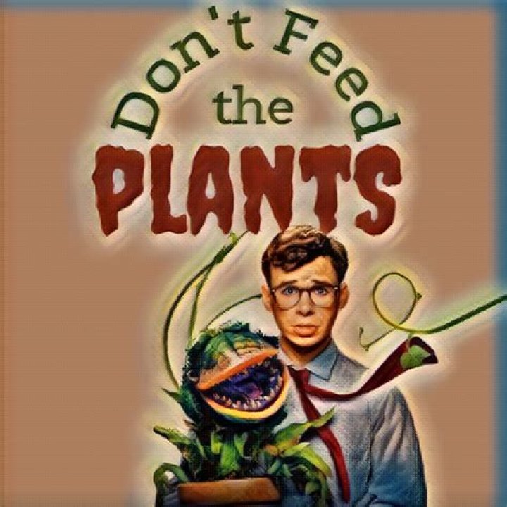 The Meaning Behind The Song: Don’t Feed The Plants by Little Shop Of Horrors