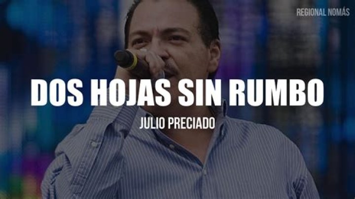 The Meaning Behind The Song: Dos hojas sin rumbo by Julio Preciado