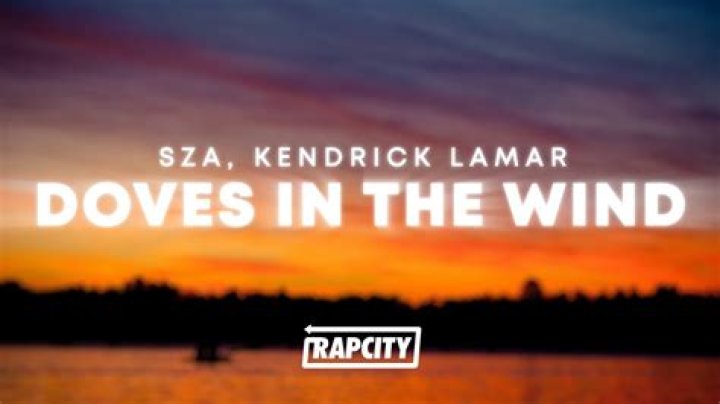 The Meaning Behind The Song: Doves in the Wind by SZA