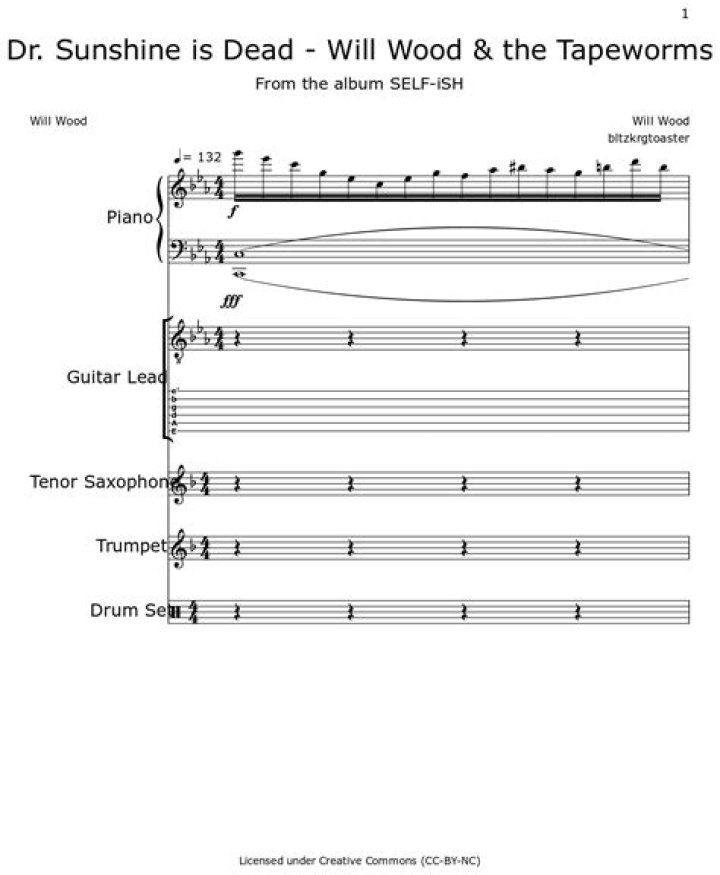 The Meaning Behind The Song: Dr. Sunshine Is Dead by Will Wood & The Tapeworms