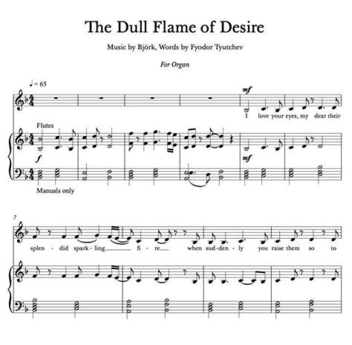The Meaning Behind The Song: Dull Flame of Desire by Björk