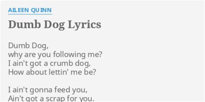 The Meaning Behind The Song: Dumb Dog by Aileen Quinn