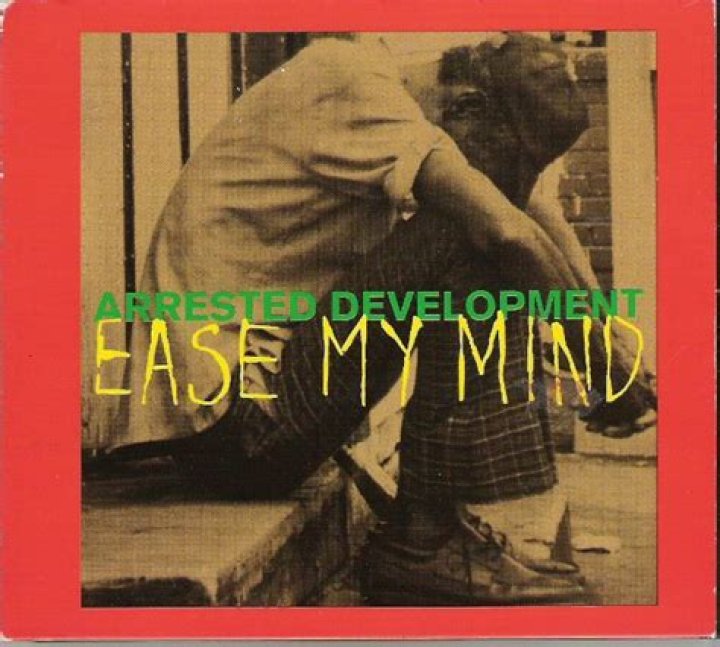 The Meaning Behind The Song: Ease My Mind by Arrested Development