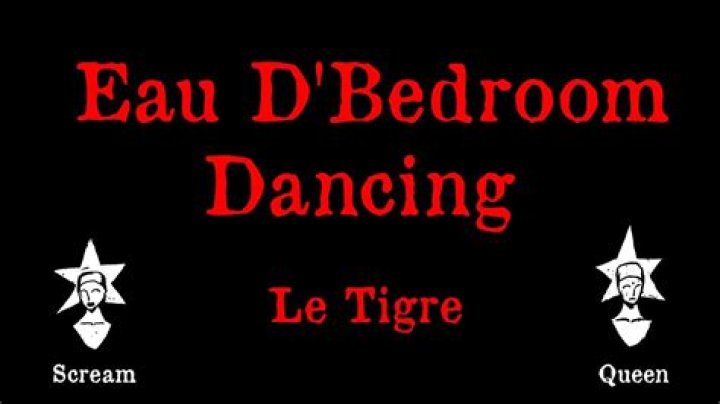 The Meaning Behind The Song: Eau D’Bedroom Dancing by Le Tigre