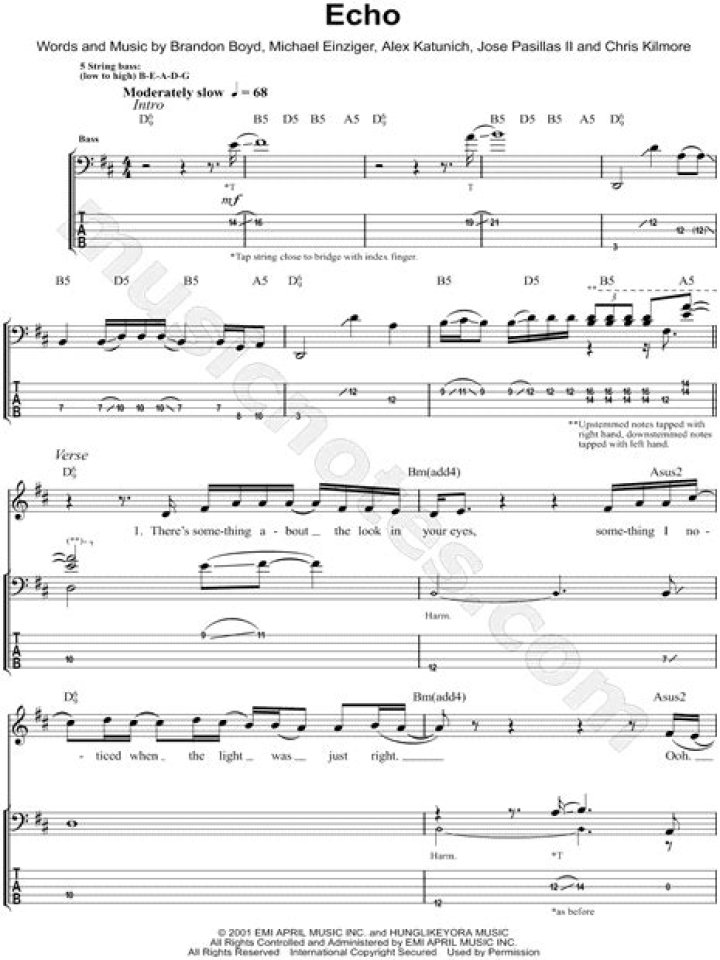 The Meaning Behind The Song: Echo by Incubus