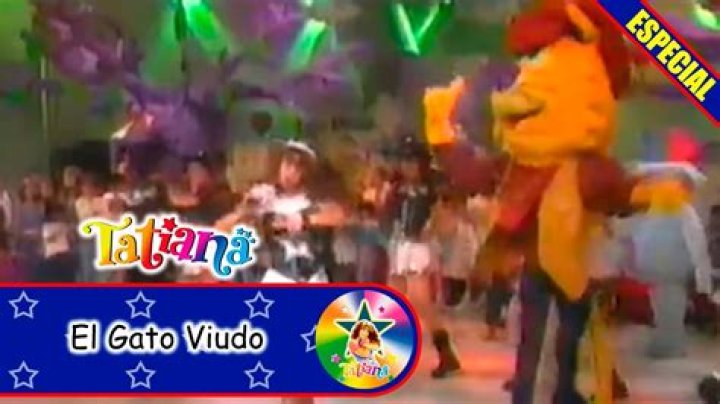 The Meaning Behind The Song: El gato viudo by Tatiana