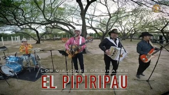 The Meaning Behind The Song: El Pipiripau by Los Viejones De Linares