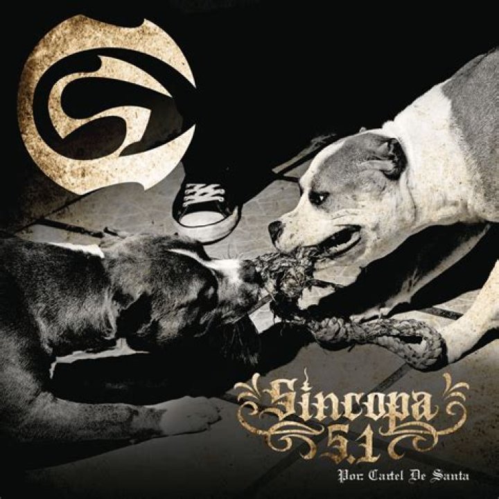 The Meaning Behind The Song: El Ratón y el Queso by Cartel de Santa