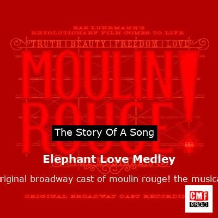 The Meaning Behind The Song: Elephant Love Medley by Jamie Allen