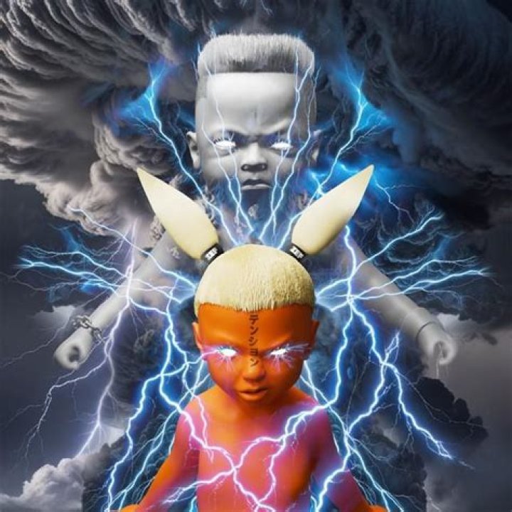 The Meaning Behind The Song: Enter The Ninja by Die Antwoord