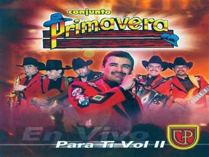 The Meaning Behind The Song: Es Muy Tu Vida by Conjunto Primavera