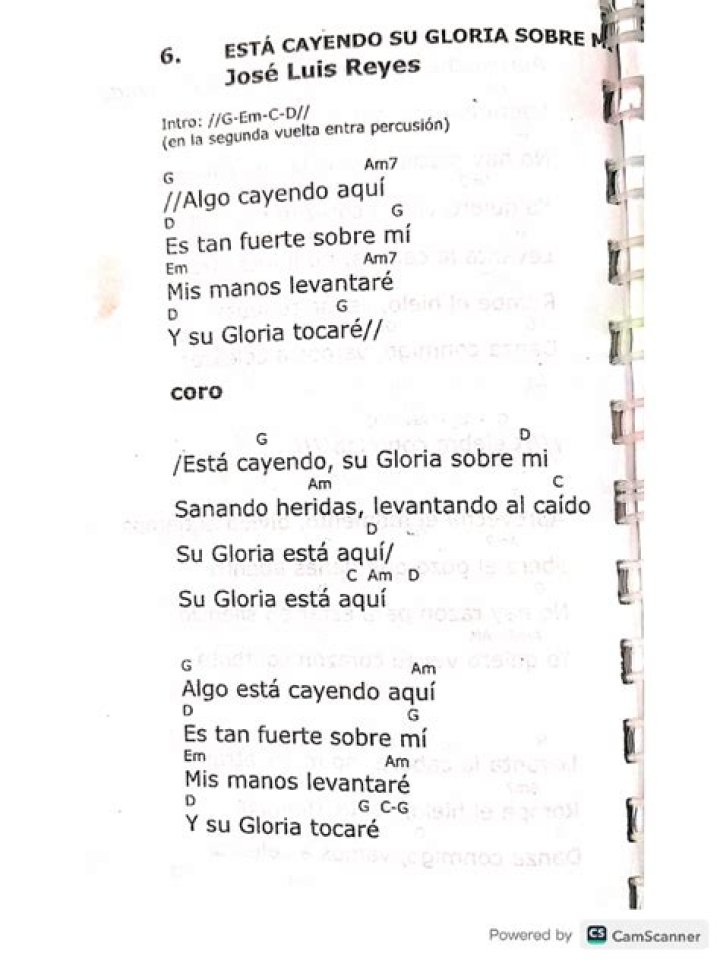 The Meaning Behind The Song: Esta Cayendo by Jose Luis Reyes