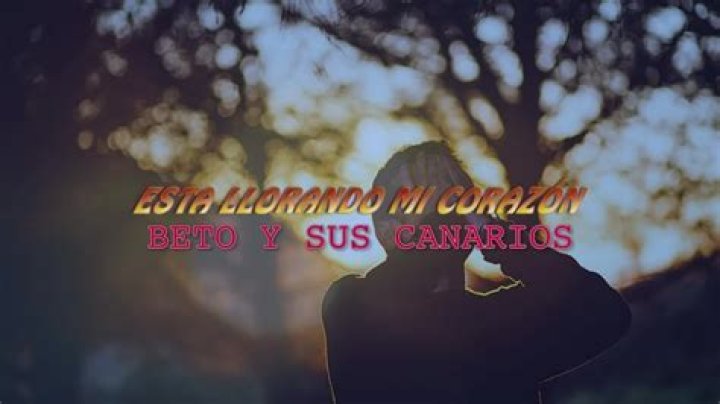 The Meaning Behind The Song: Esta Llorando Mi Corazon by Beto y Sus Canarios