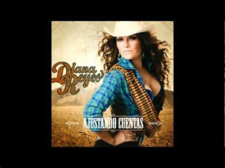 The Meaning Behind The Song: Evitame la pena by Diana Reyes