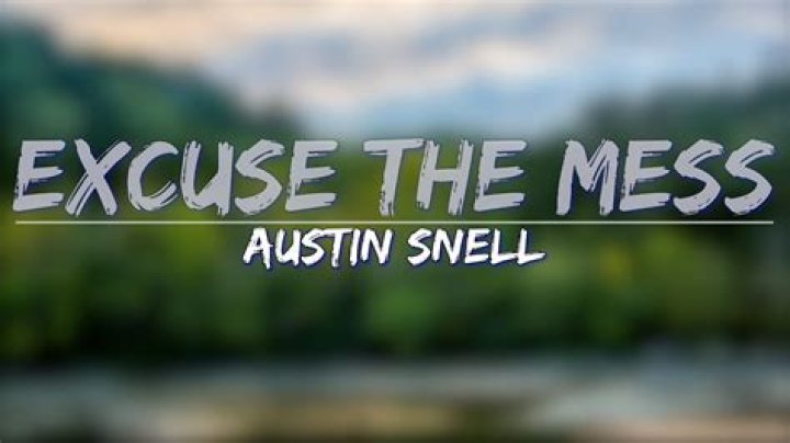 The Meaning Behind The Song: Excuse The Mess by Austin Snell