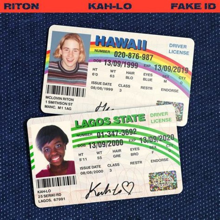 The Meaning Behind The Song: Fake I.D. by Riton