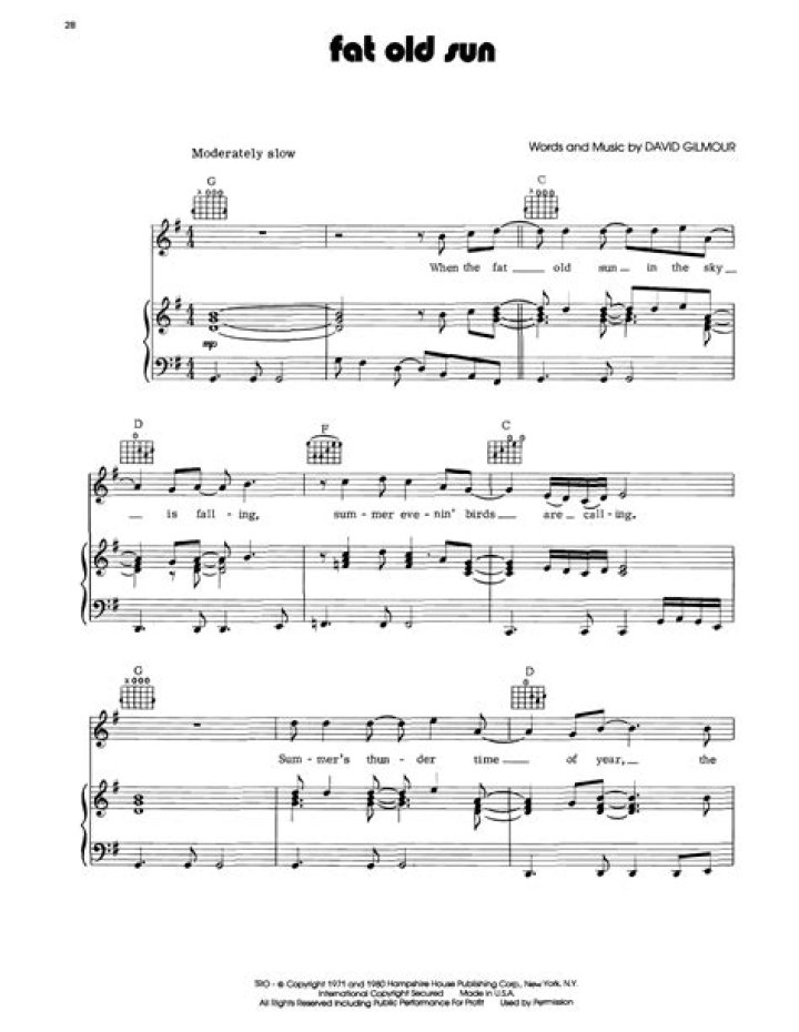 The Meaning Behind The Song: Fat Old Sun by Pink Floyd