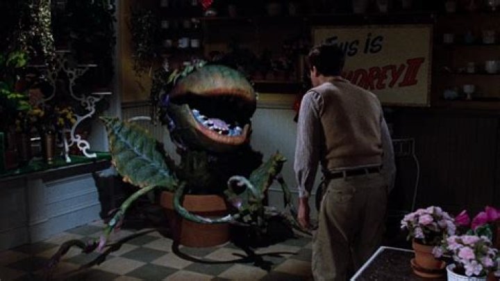 The Meaning Behind The Song: Feed Me/Git It: Movie Version by Levi Stubbs