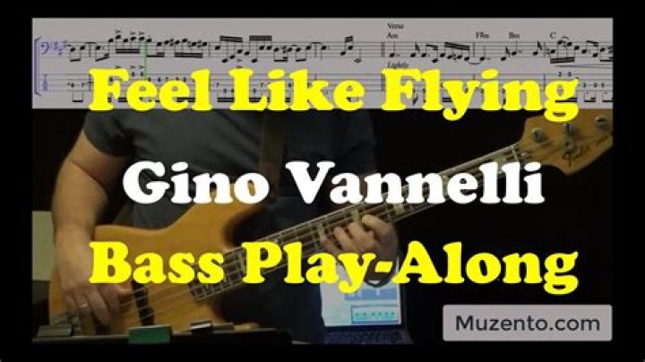 The Meaning Behind The Song: Feel Like Flying by Gino Vannelli