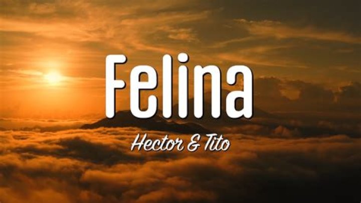 The Meaning Behind The Song: Felina by Hector & Tito